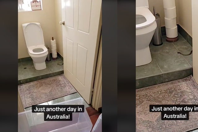 <p>Screengrabs from a TikTok video showing a snake found in a residential toilet in Australia </p>